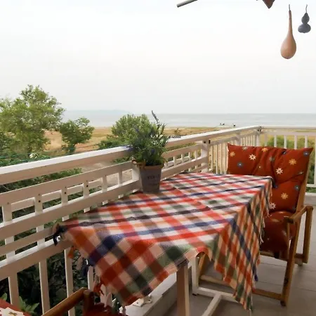 Medusa Apartment, Apartman