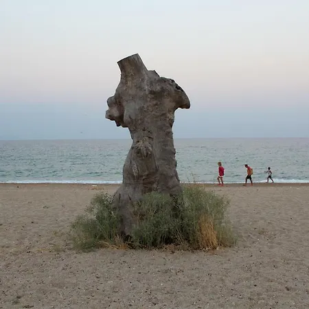 Medusa Apartment, Asprovalta